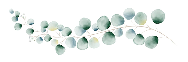 webdesign aquarel-groene-eucalyptus-bladeren-en-takken_100956-382